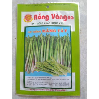 Hạt giống măng tây xanh