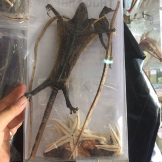 Bộ cá ngựa tăng cường sức khỏe.