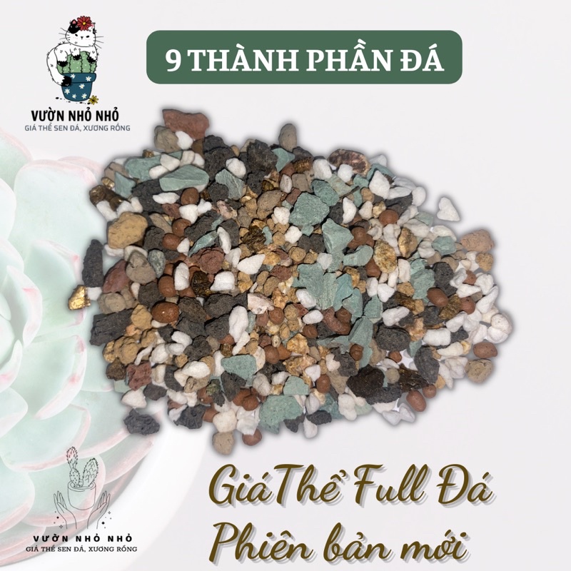 1kg Giá thể full đá Phiên Bản Mới 9 thành phần, Đất trồng sen đá, xương rồng, lithops, mọng nước, đã được trộn sẵn.