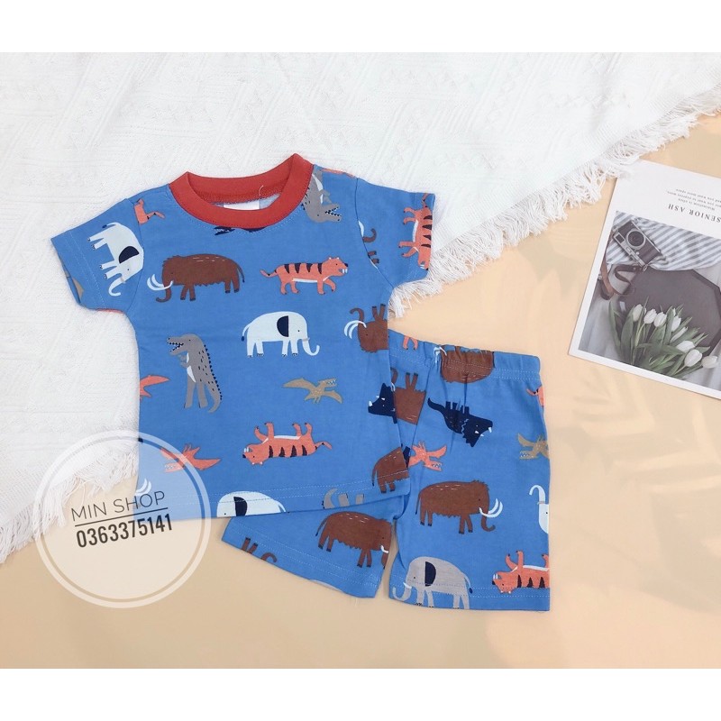 Bộ đồ cho bé trai 7-17kg ( xanh đv)