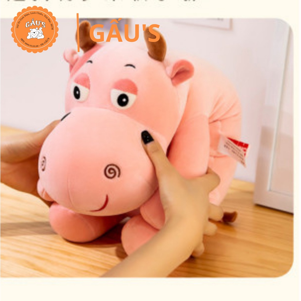 Gấu bông có mền Bò hồng dài ôm 70 cm  - GẤU SHOP
