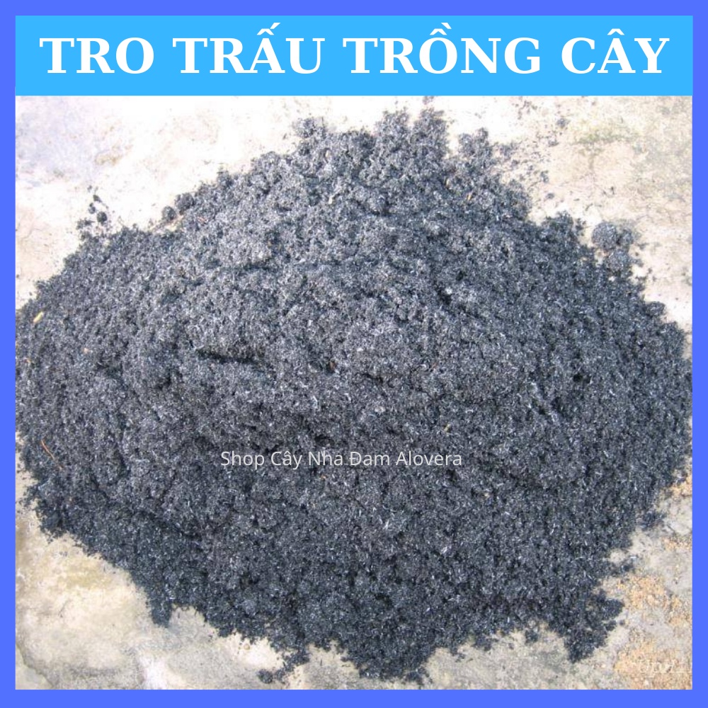 Tro Trấu Trồng Cây