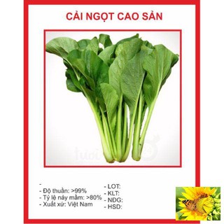 Hạt giống Cải Ngọt 50 hạt
