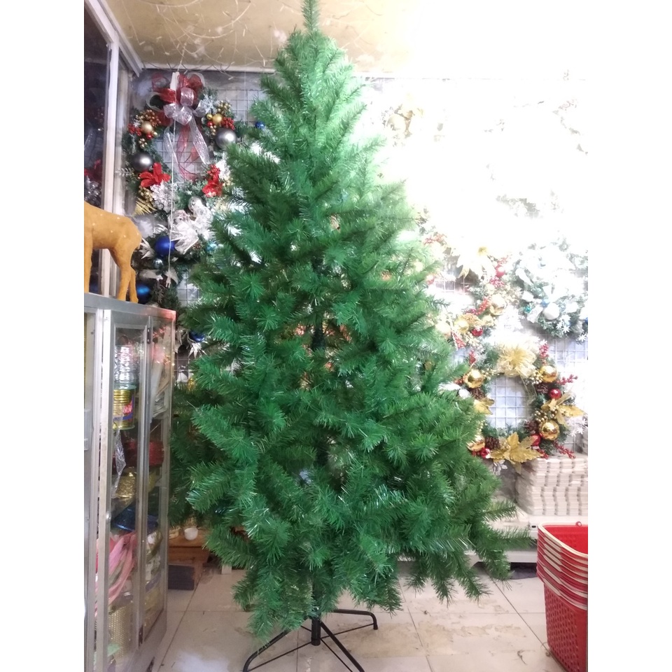Cây Thông Noel Cao 1m80, Tán Dày, Rộng