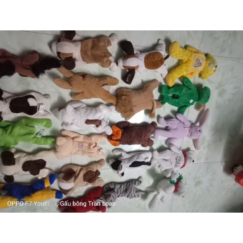 Gấu bông có hạt nhựa bên trong