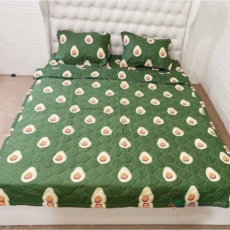 set ga + 2 vỏ gối poly cotton m6/m8( được chọn mẫu )