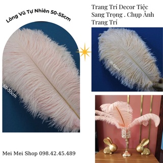 Lông vũ tự nhiên 50- 55 cm, lông đà điểu tự nhiên trang trí