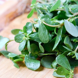 1GR - HẠT GIỐNG RAU SAM