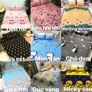 Set Chăn ga gối  cotton POLY