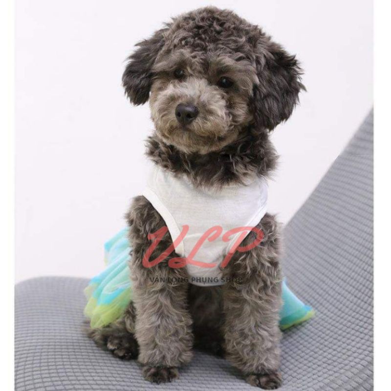 Váy xoè công chúa đính nơ dễ thương - trang phục thú cưng đáng yêu