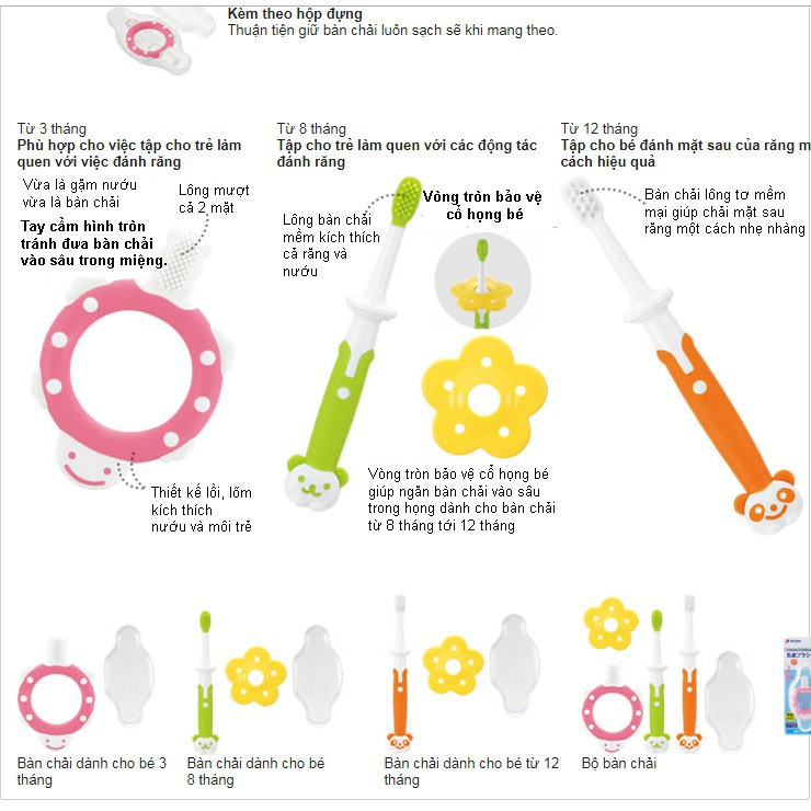 Bộ bàn chải răng 3 bước Richell 3m+, 8m+, 12m+
