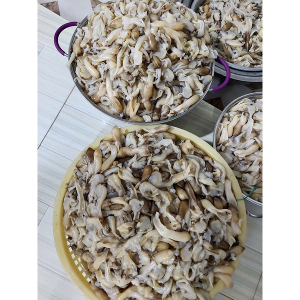 Thịt ốc-móng tay làm sạch, tươi ngọt ngon -1kg