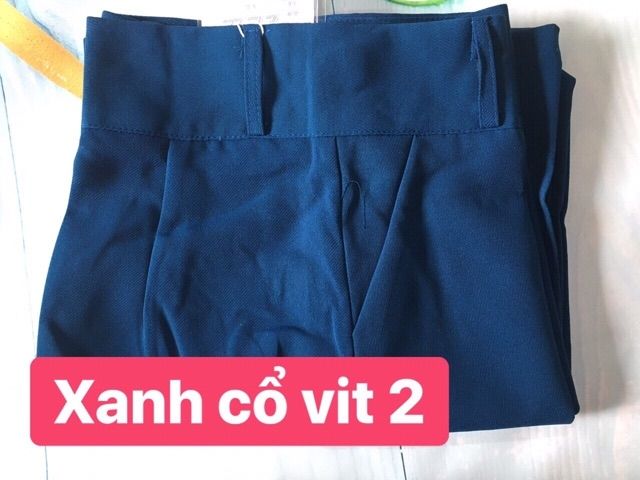 Quân culottes dáng suông 2 khuy không kèm dây đai chất đẹp nhiều màu | BigBuy360 - bigbuy360.vn