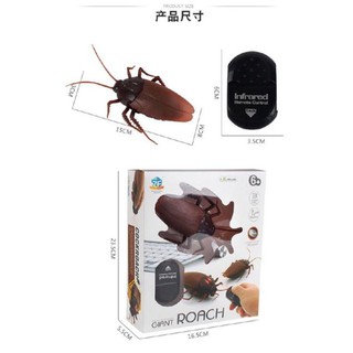 Gián Điều Khiển Từ Xa