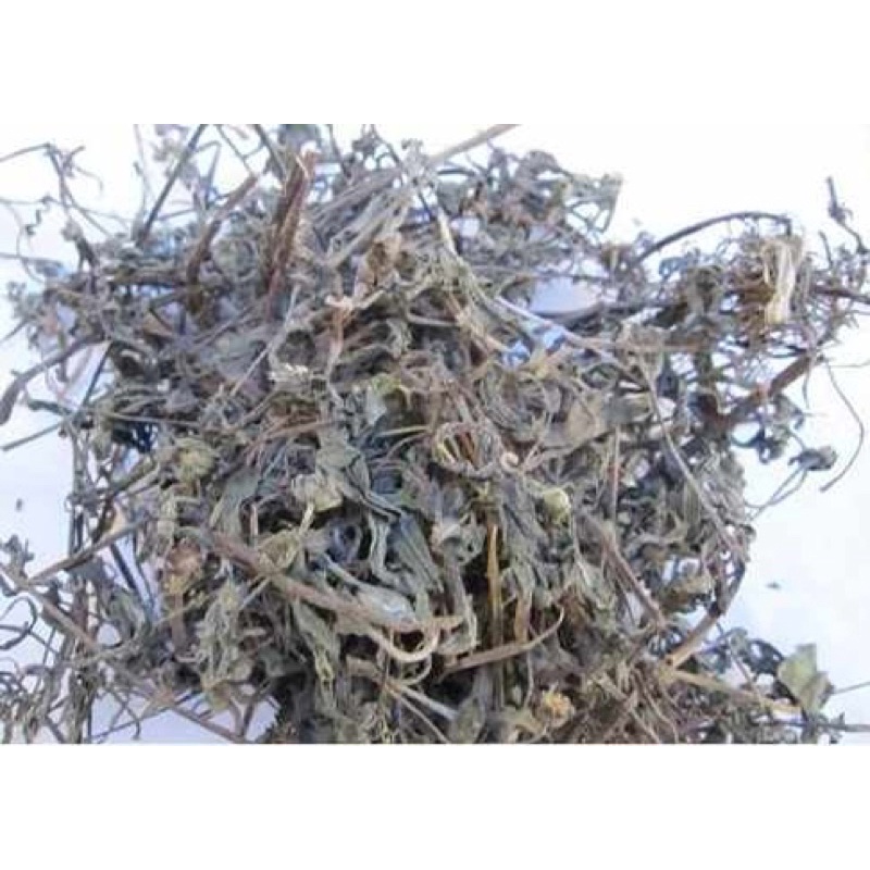 Cây Cỏ Mực( Nhọ Nồi Thu gom dân bản)