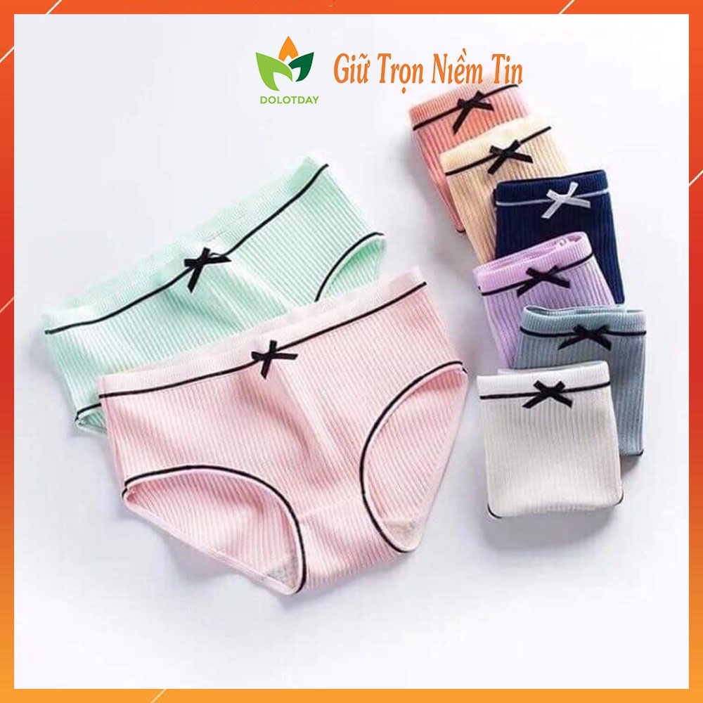 COMBO5 Quần lót nữ cotton gân tăm viền đen điệu đà phối viền đen đính nơ xinh BIKINI chip kháng khuẩn thoáng mát LOTNU01