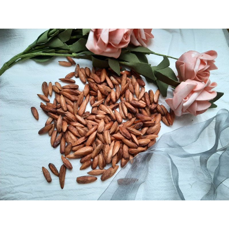 Hạt Bàng Sấy Khô