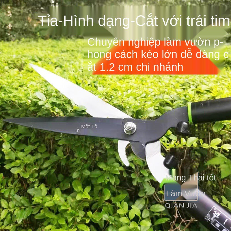 Hedge Shears Nhập khẩu Hoa và kéo cắt tỉa cây, làm vườn, phẳng lớn để cỏ hàng rào