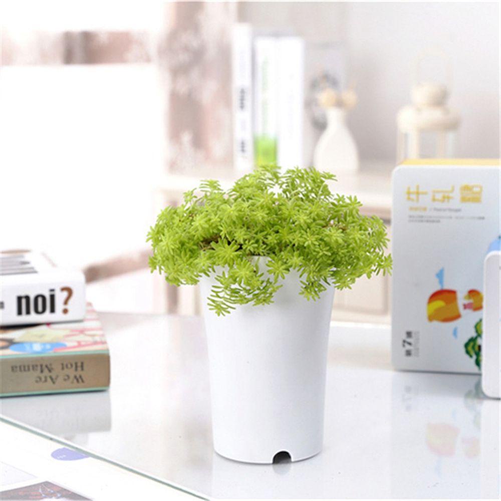 Chậu Hoa Để Bàn Trang Trí Văn Phòng Màu Trắng Đen TAYLOR1