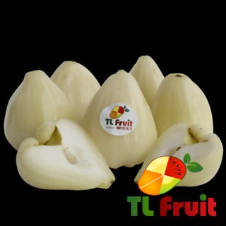 Cây Mận Trắng Sữa