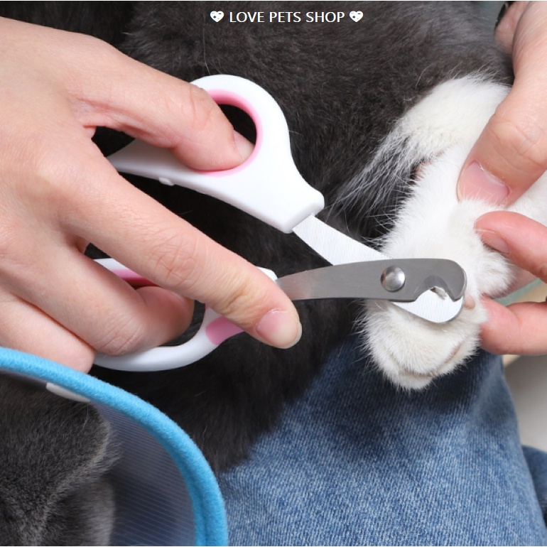 BỘ KÌM BẤM MÓNG KÈM DŨA CHO CHÓ MÈO - LOVE PETS SHOP