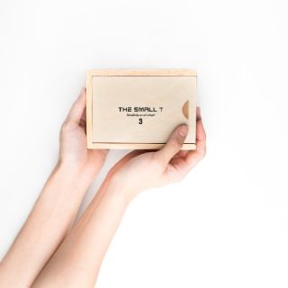 Đồ chơi gỗ - The Small T 3 (NT)