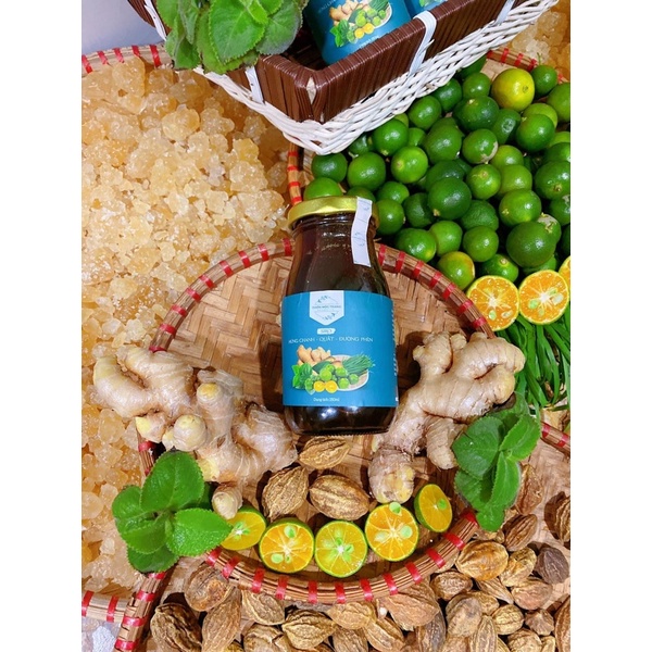 Siro ho - quất - húng - chanh handmade Thiên Mộc Trang
