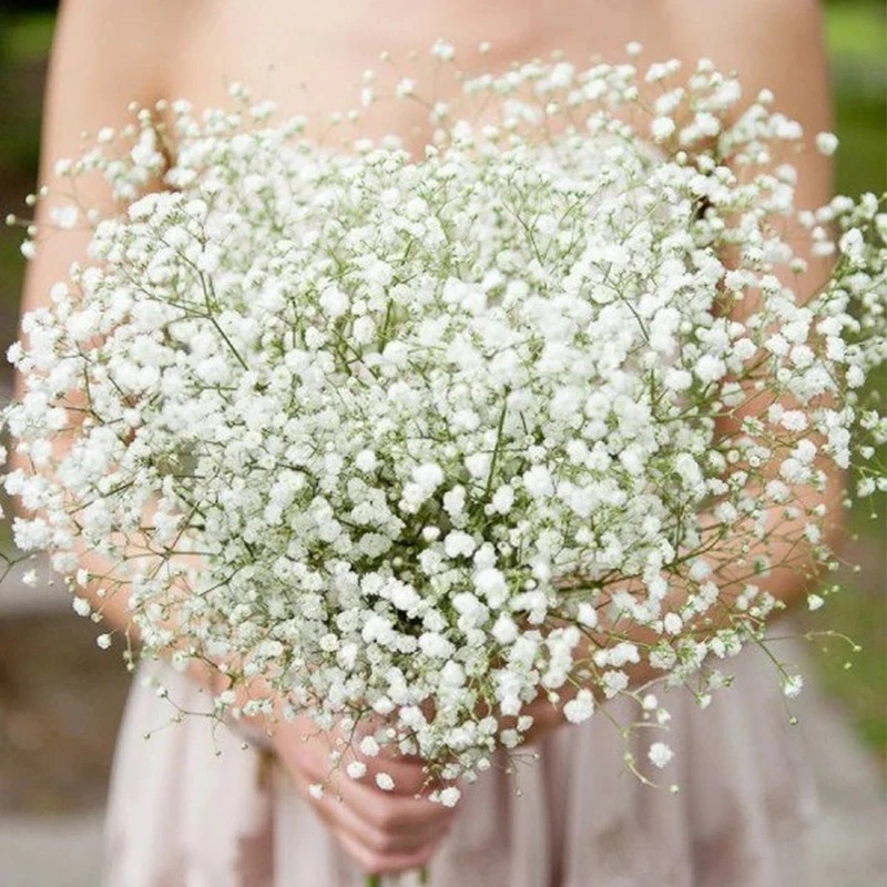 Lọ Hoa Gypsophila Giả Màu Trắng Đơn Giản Trang Trí Nhà Cửa