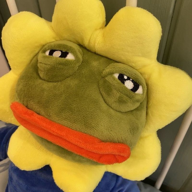 Đồ chơi búp bê nhồi bông ếch Pepe và hoa hướng dương 80cm trang trí làm quà tặng cho bé