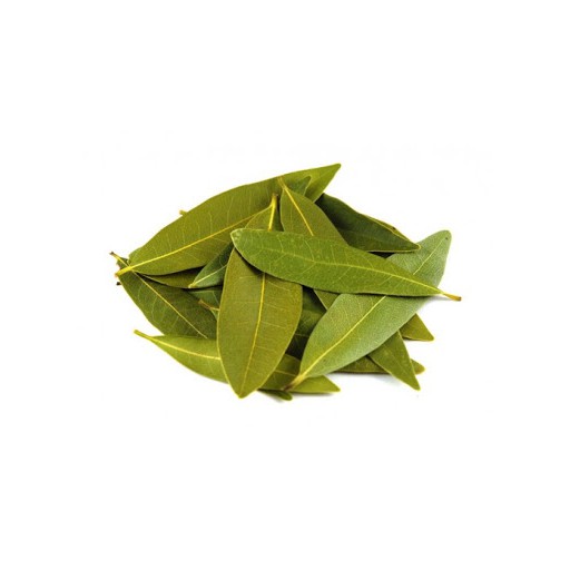 Lá nguyệt quế