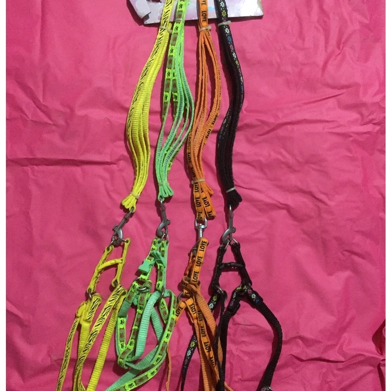 Dây dắt thú cưng chó mèo 1cm có yếm thanh lý