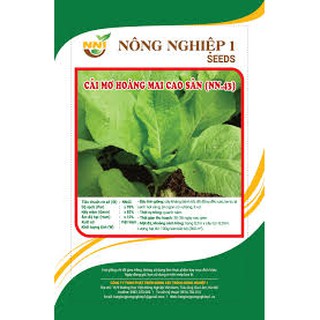 Hạt giống Cải mơ cao sản