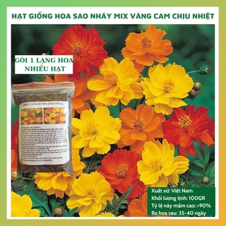  Hạt giống hoa sao nhái - cánh bướm gói 2 LẠNG NHIỀU HẠT  mix màu vàng cam đẹp  tỷ lệ nảy mầm cao dễ chăm sóc 