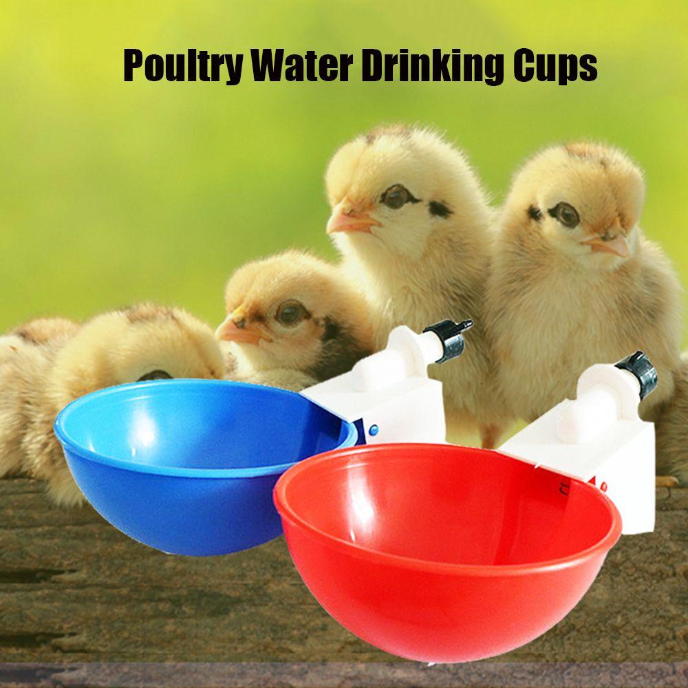 SUYO Cốc Uống Nước Tự Động Cho Gà Mới