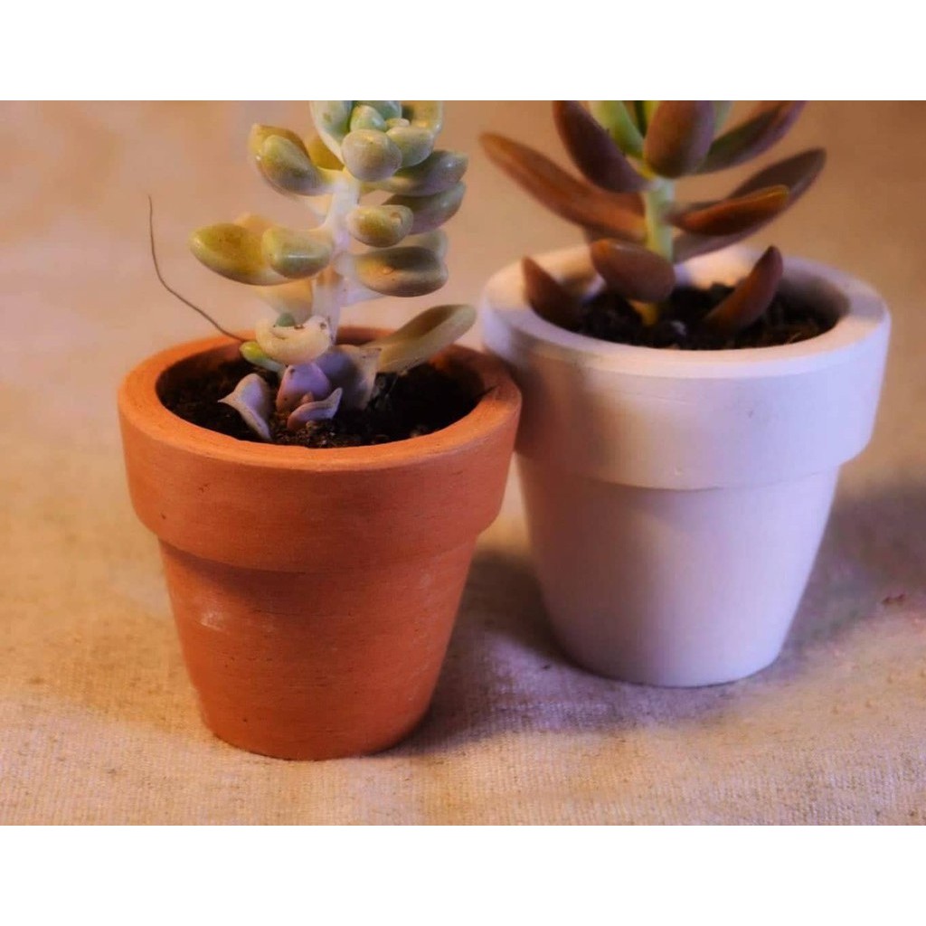 Chậu đất nung 7x7 cm (KÈM DĨA LÓT) trồng cây cảnh nội thất, cây mini, sen đá, xương rông