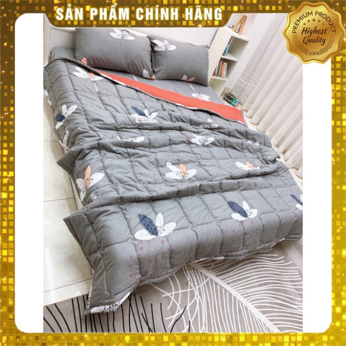 Set chăn ga 5 món thun lạnh hàn quốc cực kỳ mềm mại dùng được 4 mùa nhiều màu sắc nhã nhặn | WebRaoVat - webraovat.net.vn