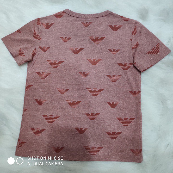 Áo thun bé trai, áo thu họa tiết nhiêu màu bé trai 013067