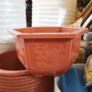chậu nhựa trồng cây bon sai