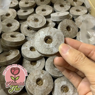 Combo 10 viên nén sơ dừa- ươm hạt, trồng cây