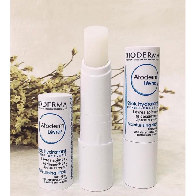 SON DƯỠNG MÔI BIODERMA ATODERM LÈVRES STICK HYDRATANT MOISTURISING STICK | BigBuy360 - bigbuy360.vn
