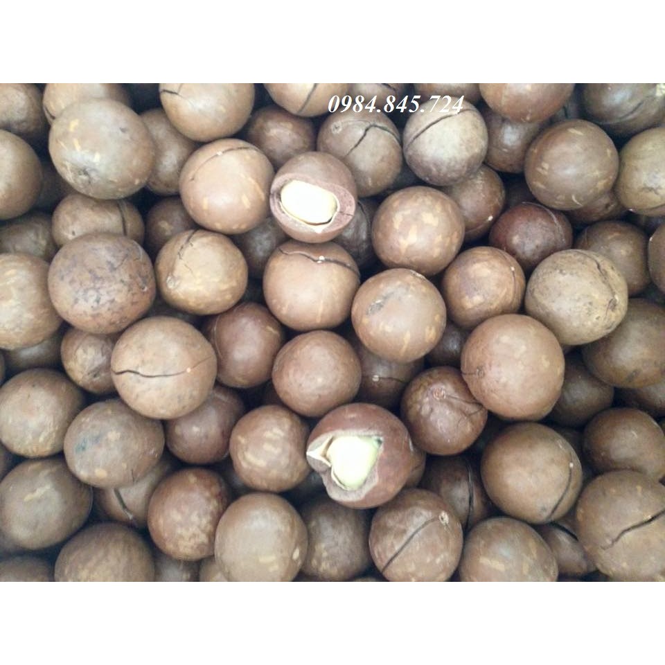 Nhân mắc ca Úc (500g)