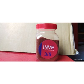Cám Thái Inve 3/5 dành cho cá mới lớn
