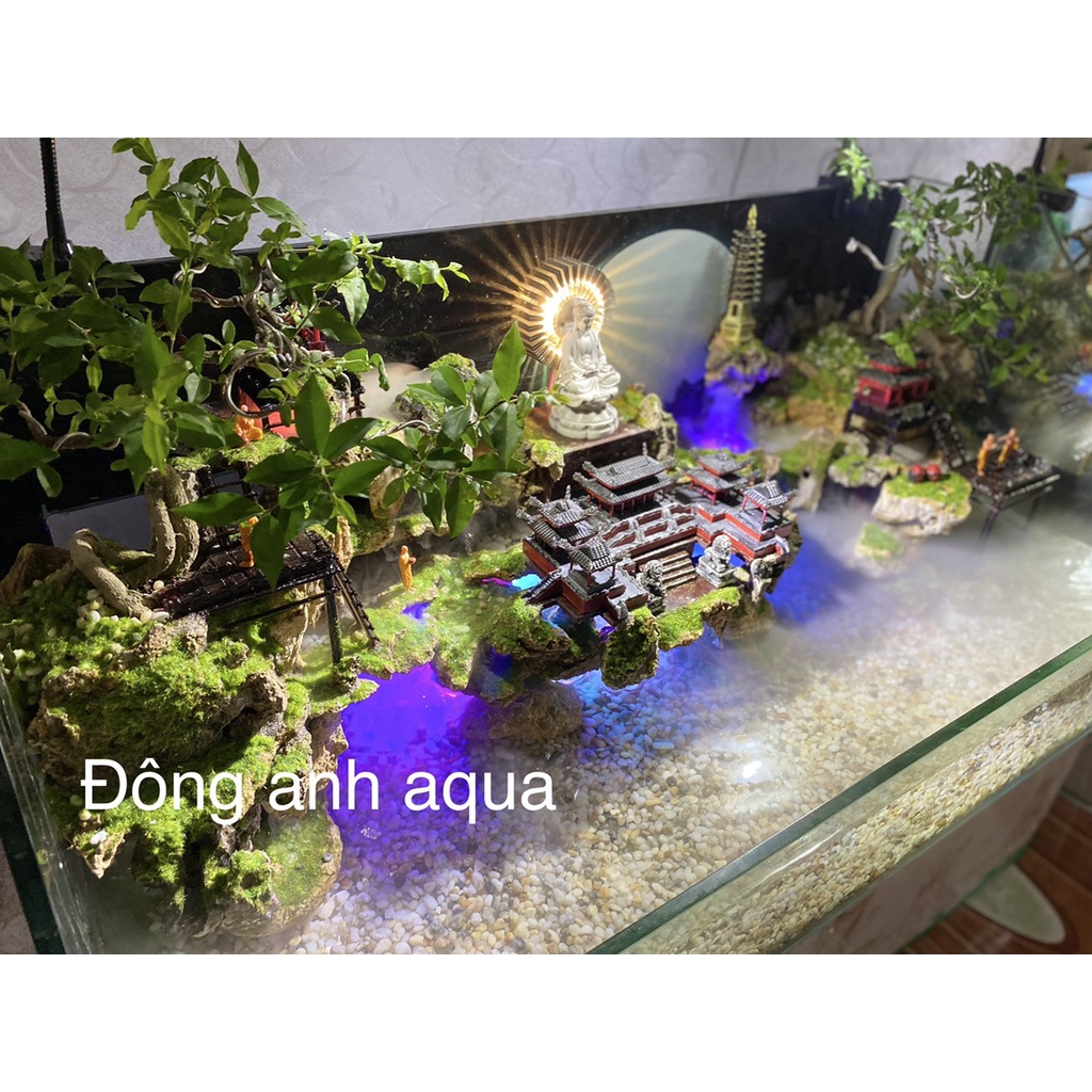 Bể bán cạn tâm hướng phật - Thiên Giới - Đông anh Aqua