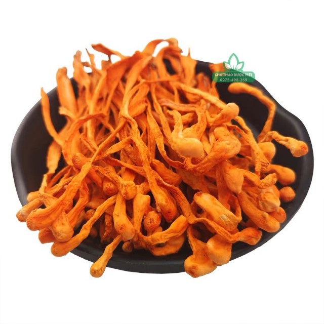 1Kg Đông trùng hạ thảo sấy khô hảo hạng vàng, thơm, bổ dưỡng
