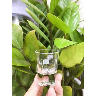 Bộ 12 ly thuỷ tinh nhỏ đế dày, đẹp, ly rượu deli y5592 dung tích 20ml