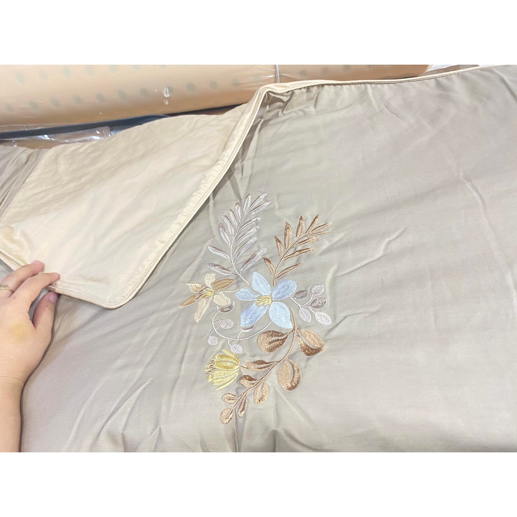 Bộ Drap chun chần EVERON MDSC075