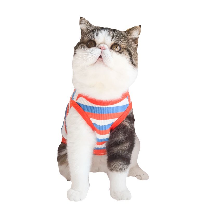 &lt;cutepethome&gt;Áo Thun MùA Hè Dễ Thương Cho Thú Cưng