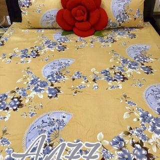 BỘ DRAP 100% COTTON VN