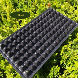 (Siêu bền chắc) 5 cái Khay Ươm Hạt, vỉ ươm hạt 32/50/72/104/105/128/200 lỗ siêu tiện lợi