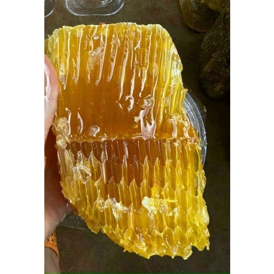 MẬT ONG KHOÁI RỪNG ĐIỆN BIÊN